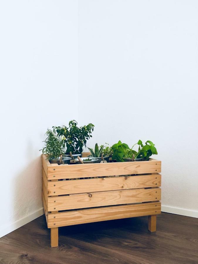 Urban Herbs Apartment ليوبليانا المظهر الخارجي الصورة