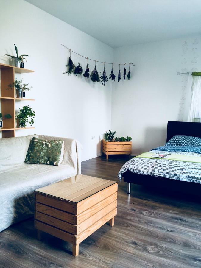 Urban Herbs Apartment ليوبليانا المظهر الخارجي الصورة